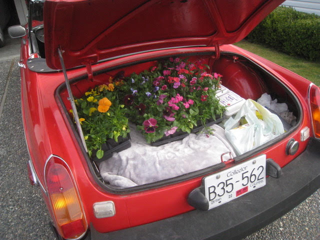 MGB Rack and Trunk Capacity